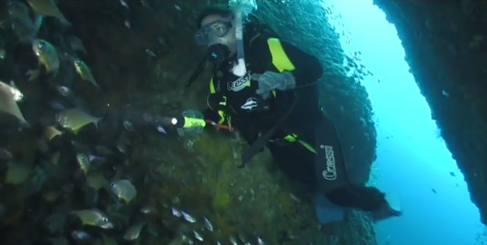 Diving South West Rocks