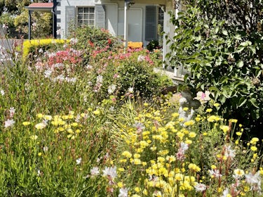 Expansive and colourful cottage gardens 1