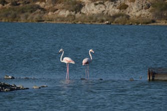 Περιοχή Ανεμογεννήτριες Καμαριώτισσα Σαμοθράκης λιμνοθάλασσα