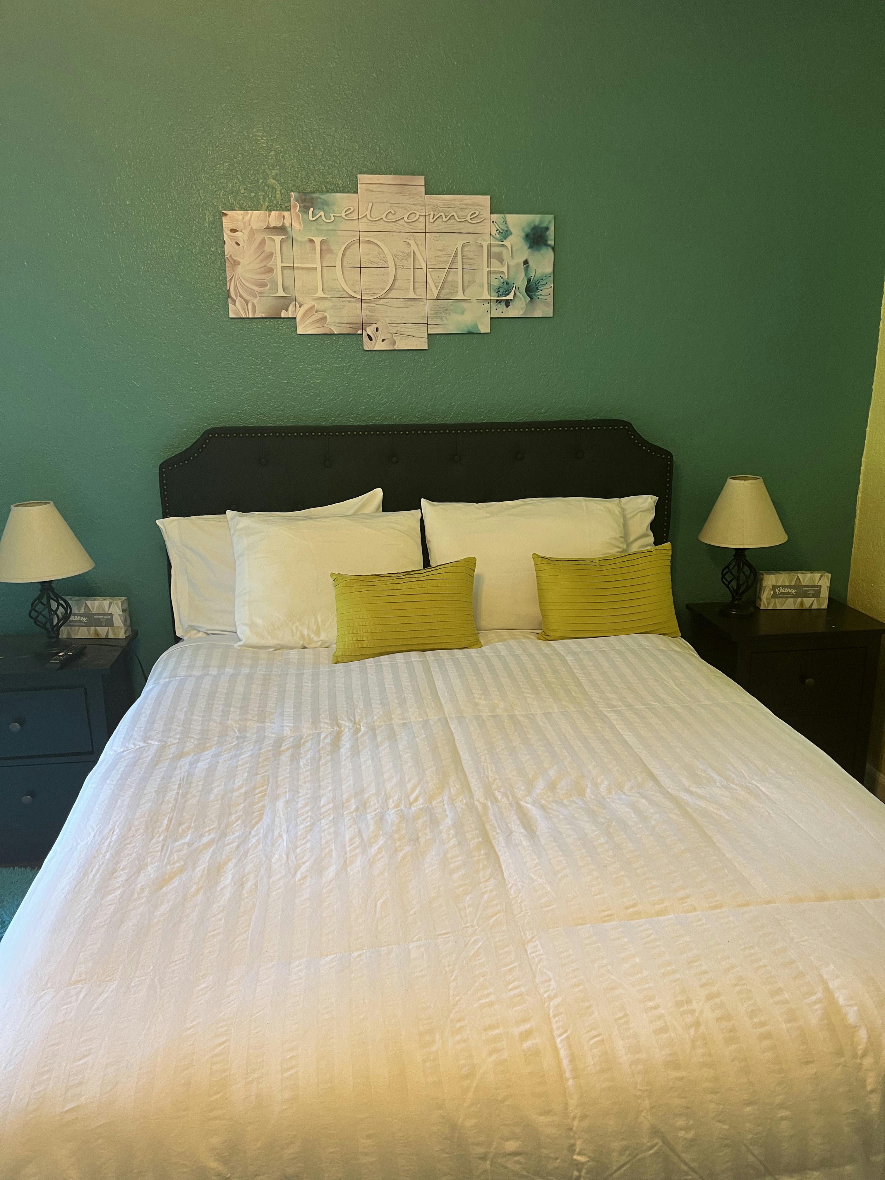 Brand new remodeled short term rental in safety harbor