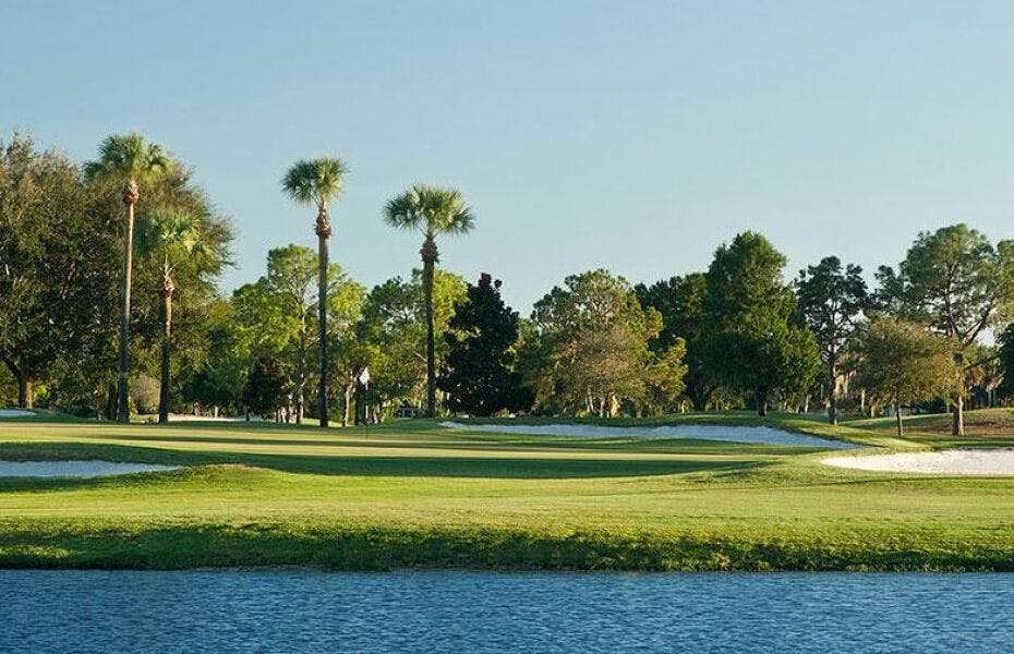 things to do in safety harbor