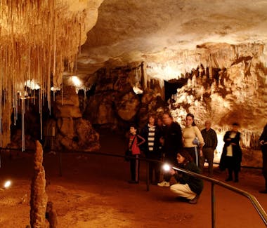 Naracoorte Caves - Alexandra Cave
