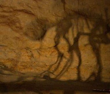 Naracoorte Caves - Fossil Cave