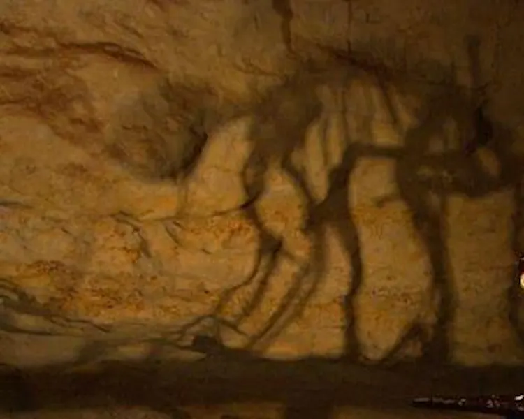 Naracoorte Caves - Fossil Cave