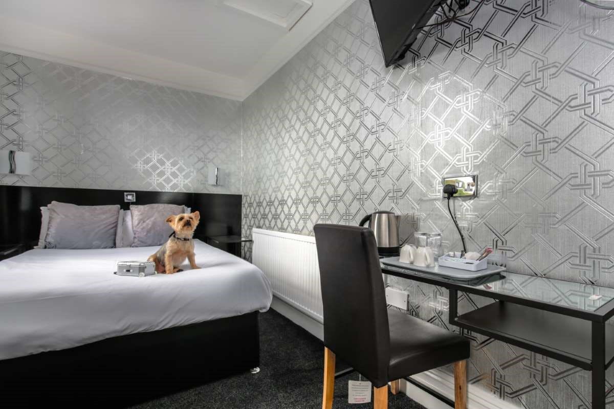 double room, Triple room, Quad Room, Twin Room, Single Room bed & breakfast, lpark, lake view, Ensuite pet friendly