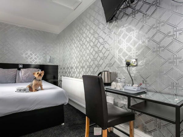 double room, Triple room, Quad Room, Twin Room, Single Room bed & breakfast, lpark, lake view, Ensuite pet friendly