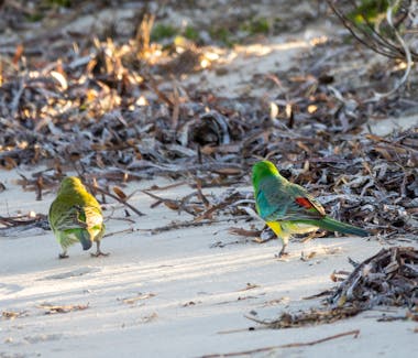 Yorke Peninsula accommodation, Port Vincent accommodation, Port Vincent Cabins