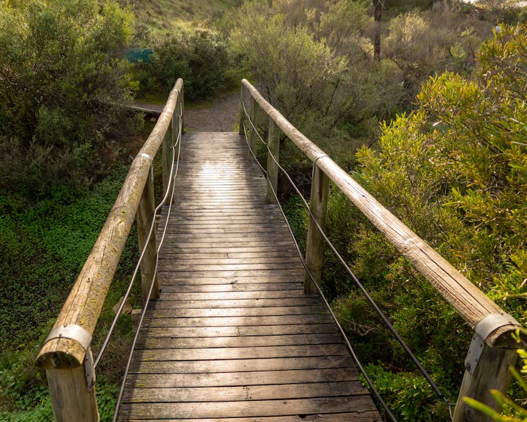 Yorke Peninsula accommodation, Port Vincent accommodation, Port Vincent Cabins