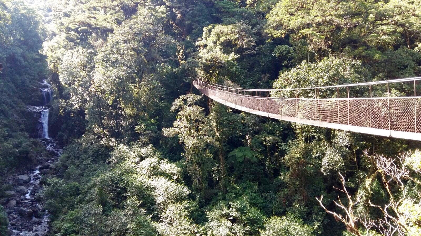 Hanging Bridge Tour