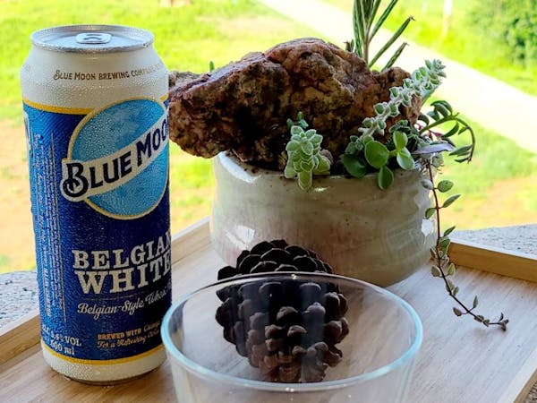 一大一小、三小、兒童