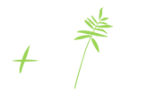 Happy Casa Resorts