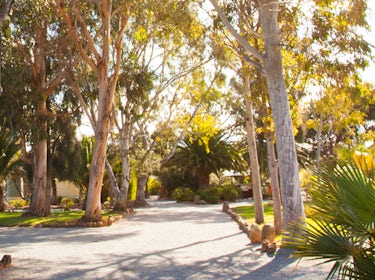 Modras Apartments Tumby Bay 1