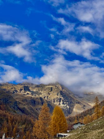 Escursionisti tra i larici a Tschaval in autunno
