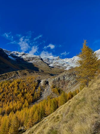 Foliage hotel de Gletscher Monterosa