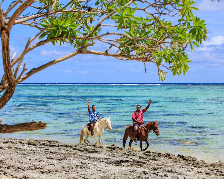 Beautiful Scenic Activities Coral Coast Fiji beach horseriding