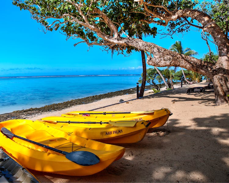 beachfront boutique hotel coral coast fiji ocean kayaking water sports