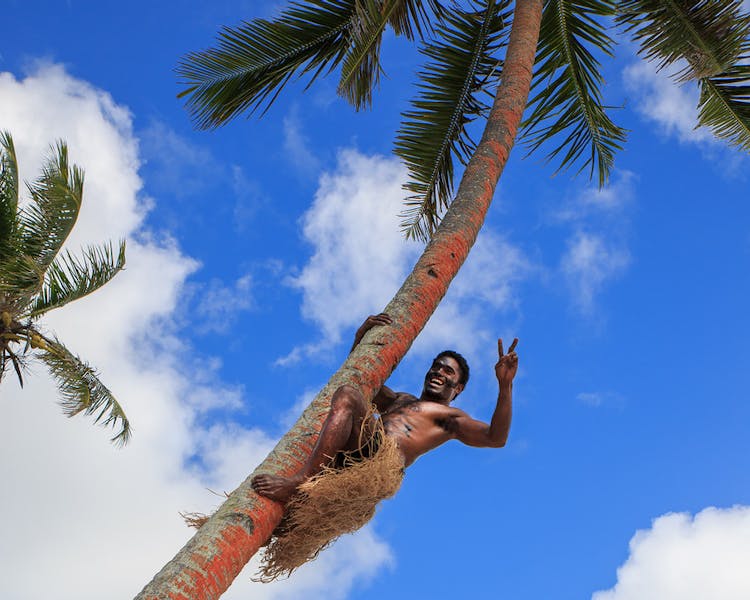 beachfront boutique hotel coral coast fiji coconut tree climbing fresh drink coconut