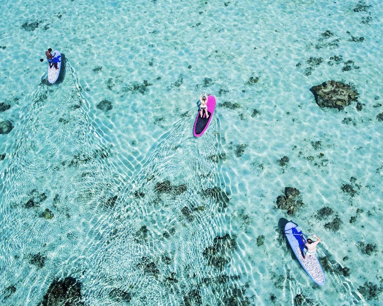Beautiful Scenic Activities Coral Coast Fiji water sports ocean