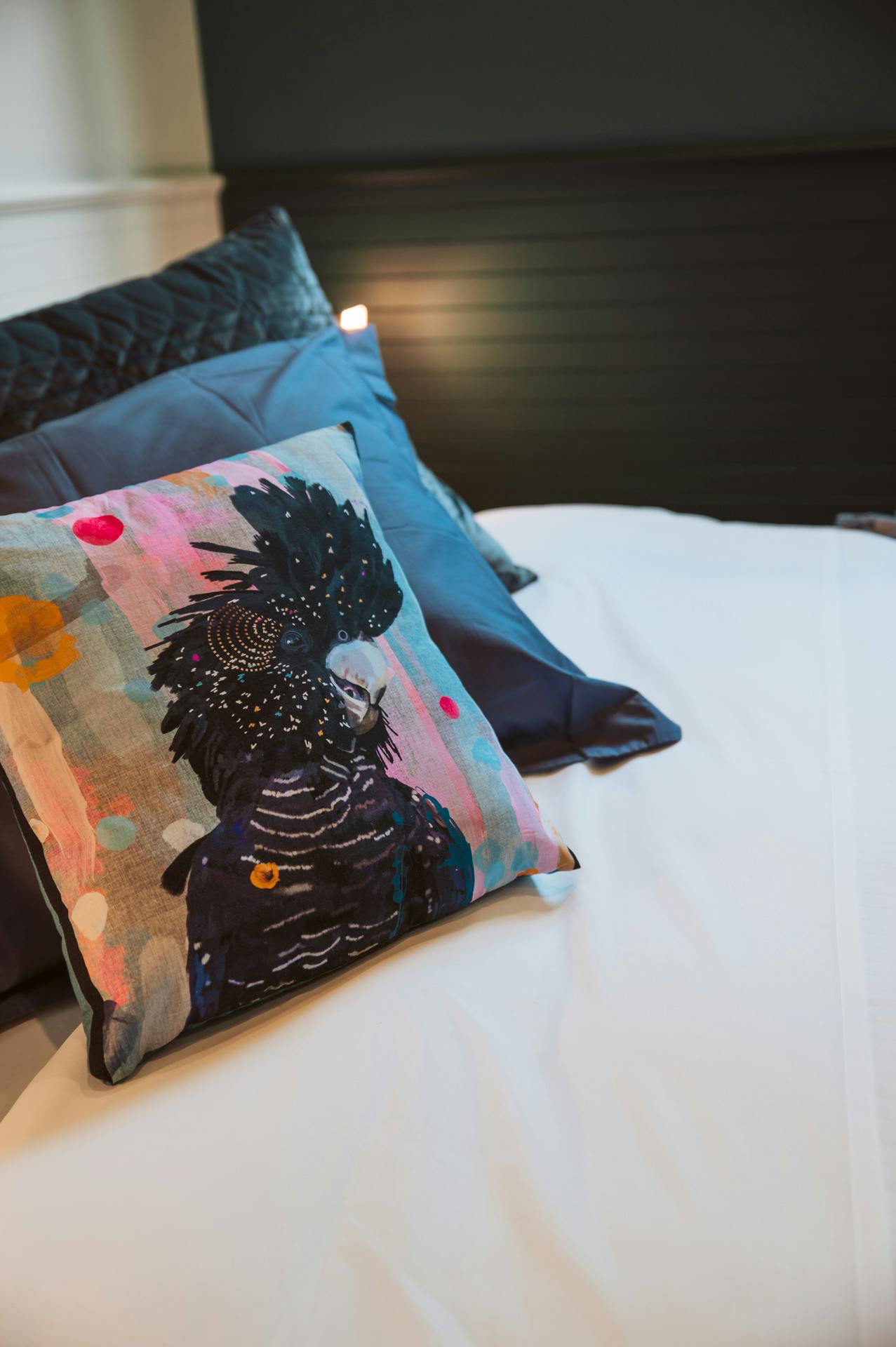 Scatter cushions on bed