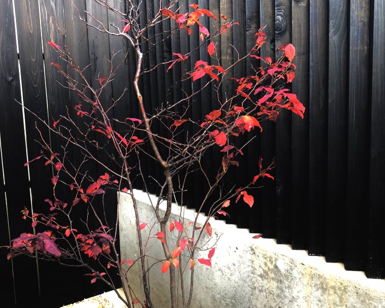 Shimaya Stays Komatsu Residences - 2BR Garden