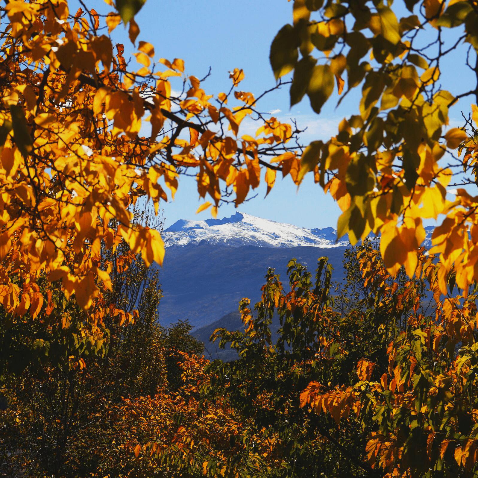 Vistas Sierra Nevada