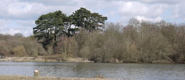 A picturesque view overlooking the lake in the National Trust Hatfield forrest