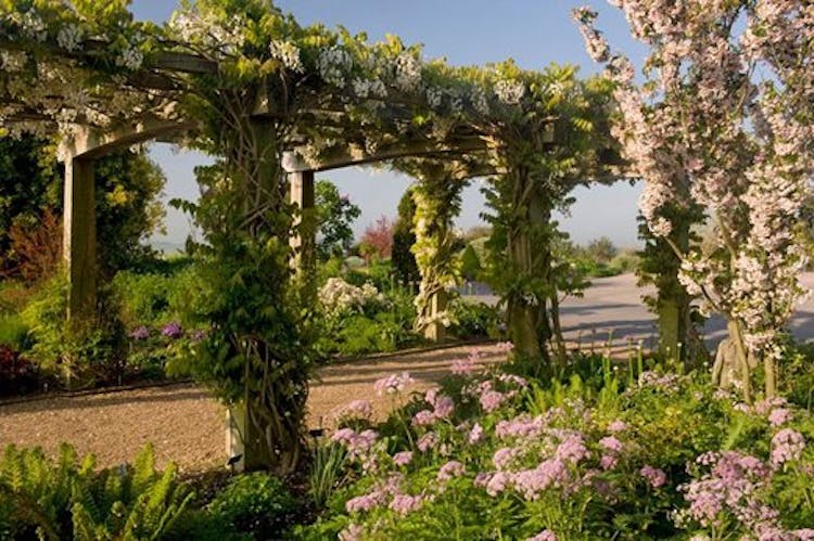 RHS Hyde Hall gardens - View of pergola covered in climbing flowers
