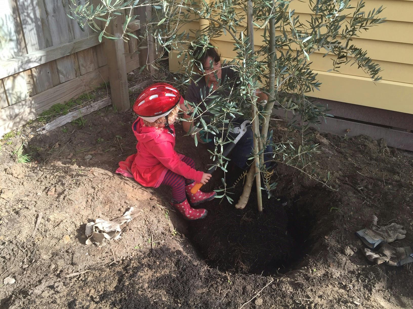 renovating the old mechanics healesville