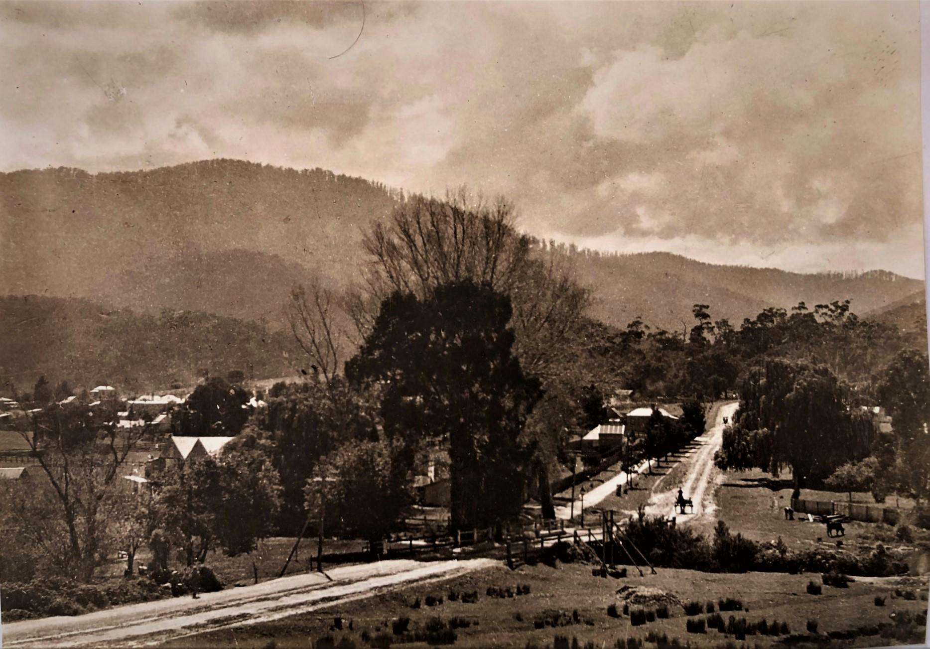 Historic Healesville