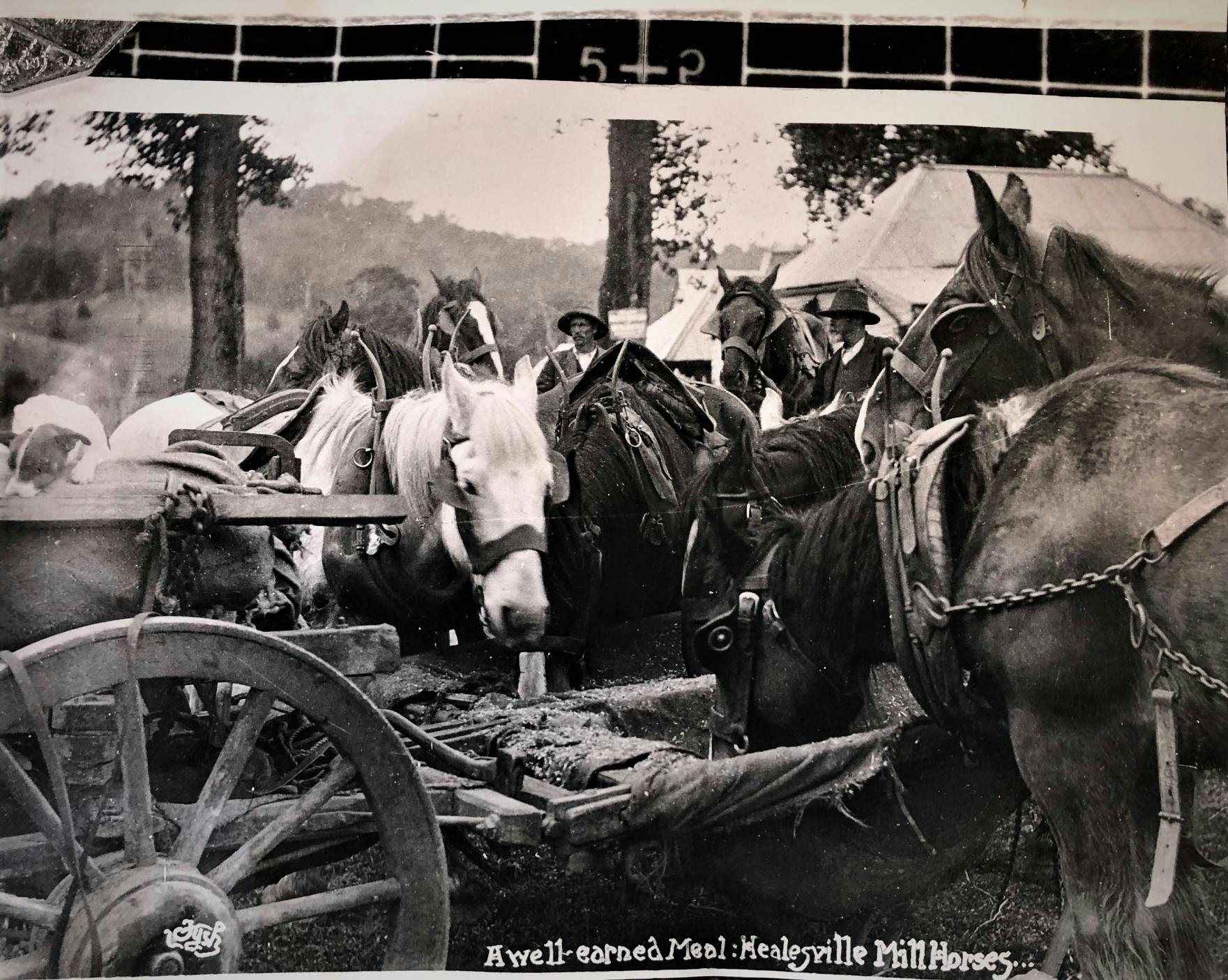 Historic Healesville