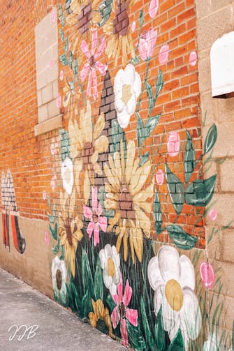 Garden mural, Fairfield, Il
