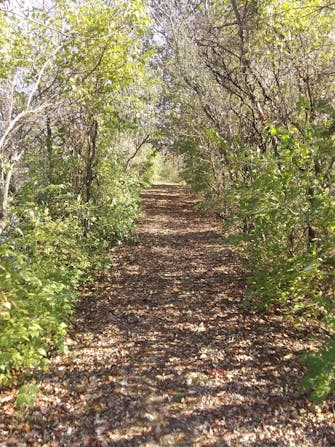 Walking trail at Loofa Farms