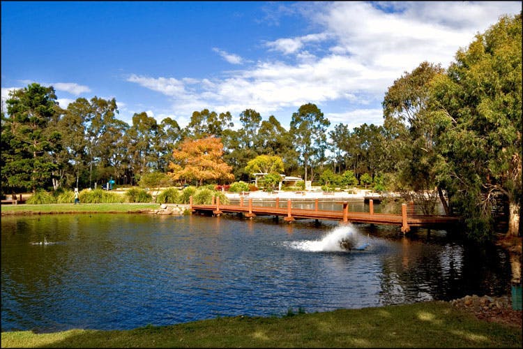 Gold Coast Botanical Gardens