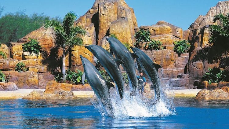Sea World