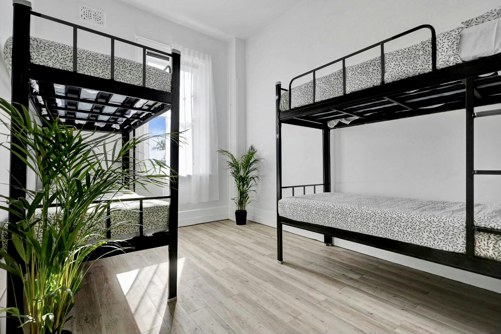 Light and bright 4-person dorm with bunk beds.