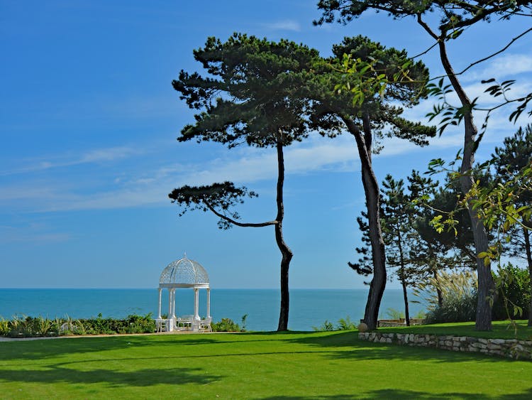 Haven Hall Hotel gazebo and pine trees in the sun