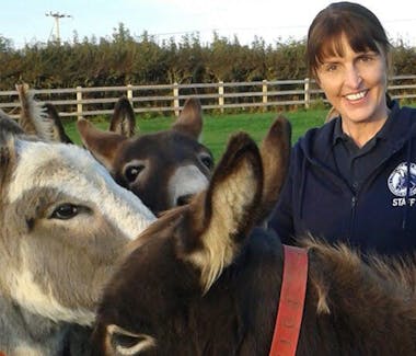 Isle of Wight Donkey Sanctuary