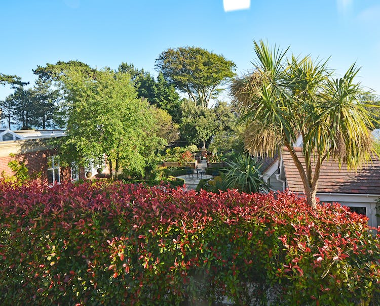 Haven Hall Hotel GS4 view over trees