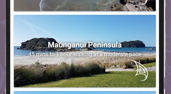 Learn about our mountain, Mauao