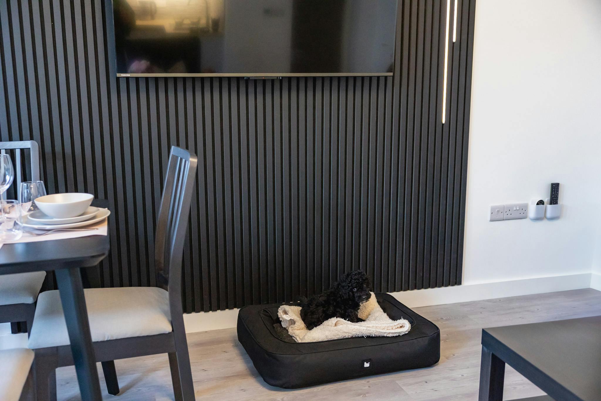 Apartment 1 Pet Friendly