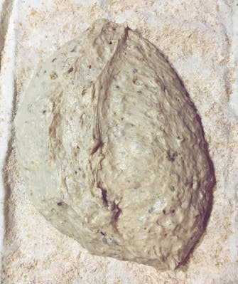 Tongariro Crossing Lodge's artisan bread in the making