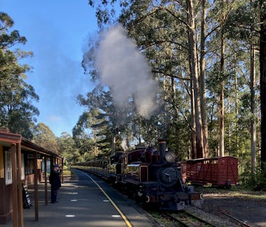 Steam Railway Station at Menzies Creek