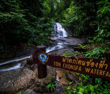 Waterfall