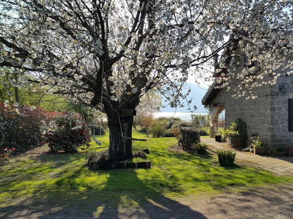 cottage beach vico ronciglione