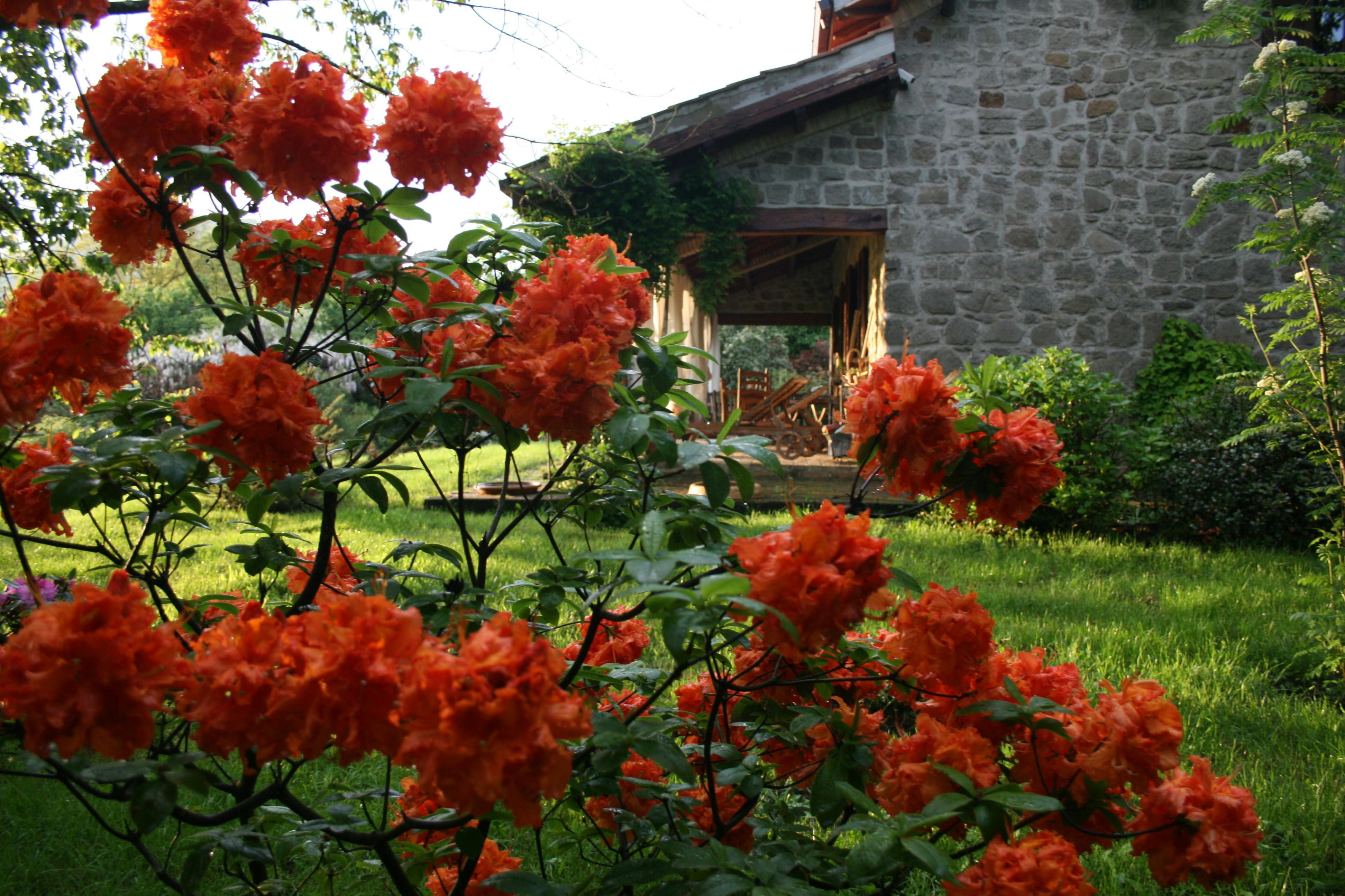 vico lake cottage rent