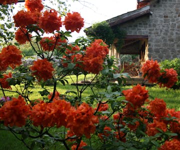 vico lake cottage rent