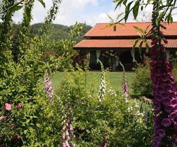 cottage beach vico lake