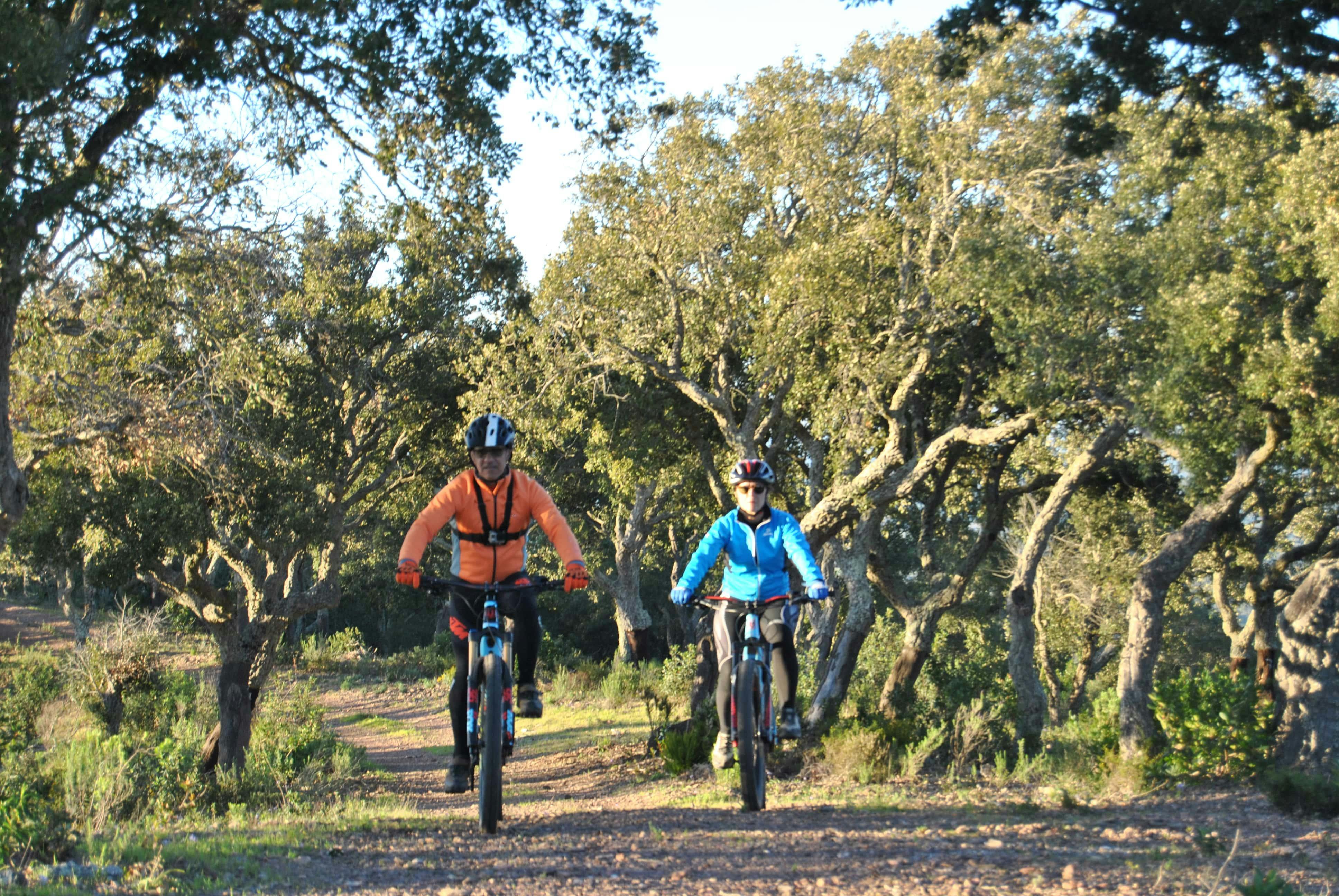 bicicletas, outdoor, passeio, emtb