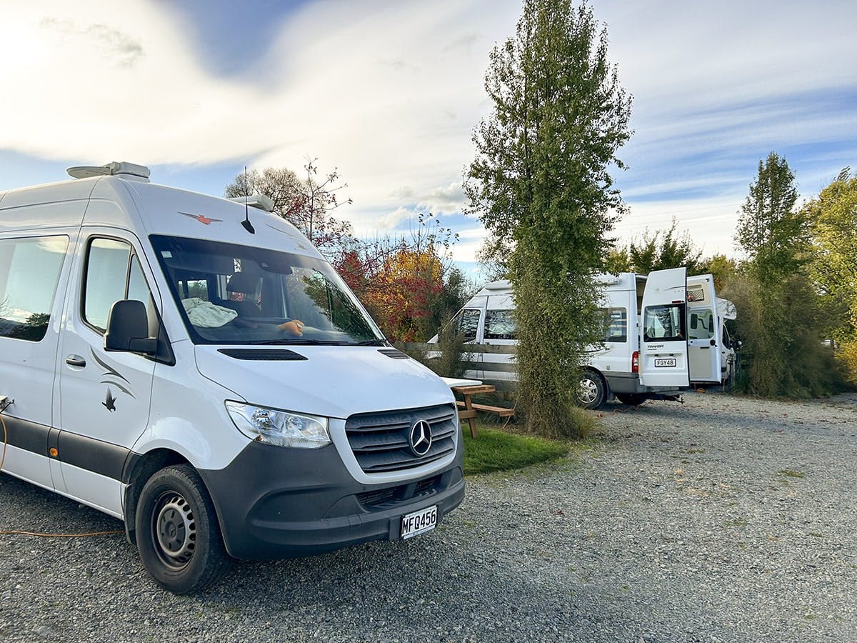 Campervan parking with trees and shrubs at Musterer's Accommodation, Fairlie.