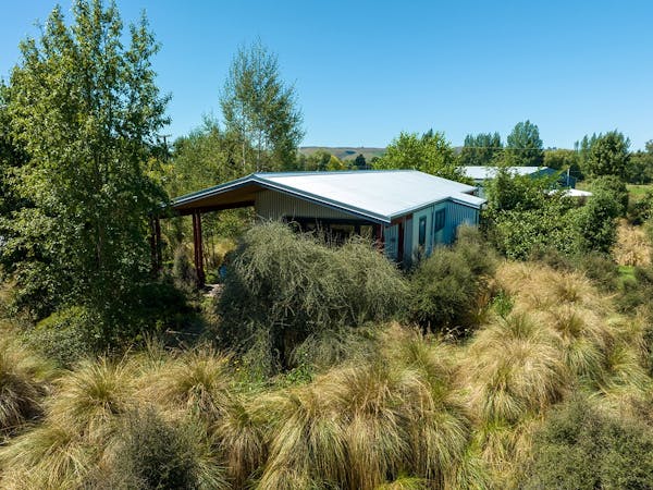 A modern-rustic cabin with native trees and plants at Musterer's Accommodation, Fairlie.